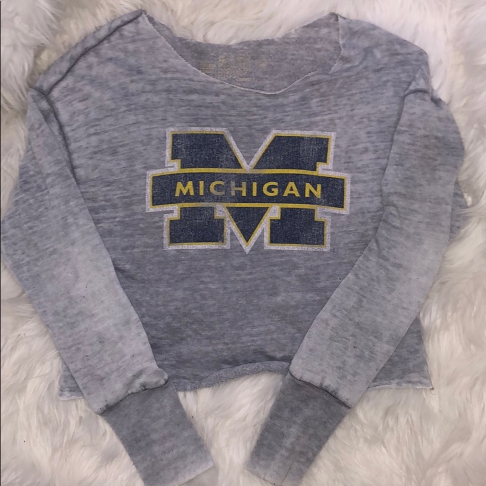 Vintage Michigan Burnout Sweater